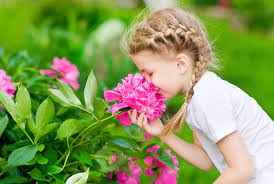 Trauma Saraf Penghidu (Olfactory Nerve Injury)